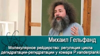 Молекулярное рейдерство: регуляция цикла дегидратации-регидратации у комара P.vanderplanki /14.04.2017/