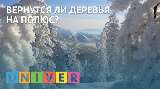 Вернутся ли деревья на полюс?