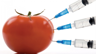 Скрытая угроза. Опасность ГМО - выдумка или реальность?