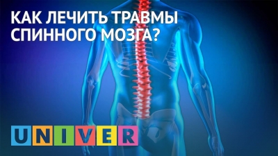 Как лечить травмы спинного мозга?