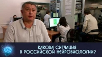 Какова ситуация в российской нейробиологии?
