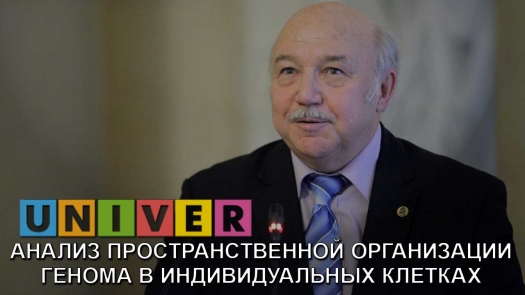 Анализ пространственной организации генома в индивидуальных клетках  /01.11.2018 г./